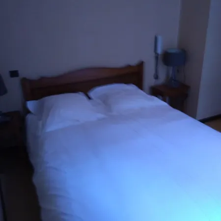 Restaurant Du Pont Vieux 3* Camarès