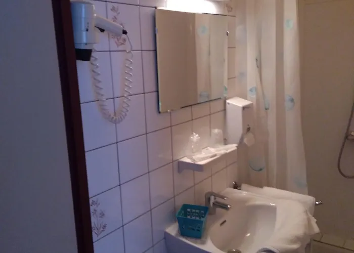 Restaurant Du Pont Vieux Ξενοδοχείο