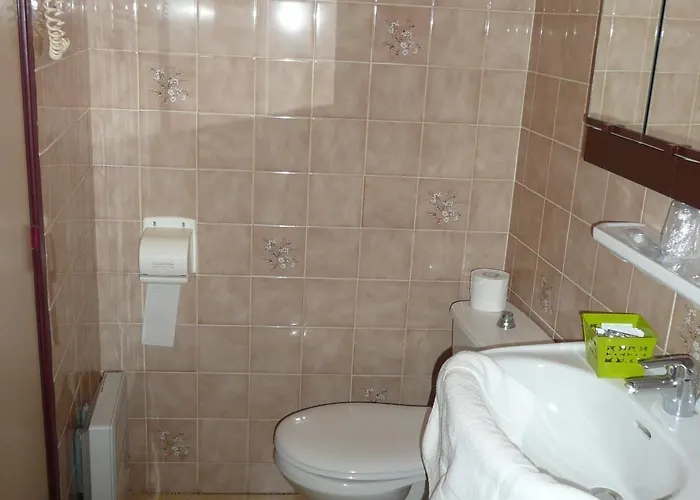 Restaurant Du Pont Vieux 3*