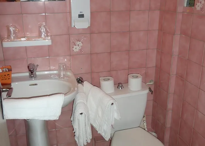 Restaurant Du Pont Vieux 3* Camarès