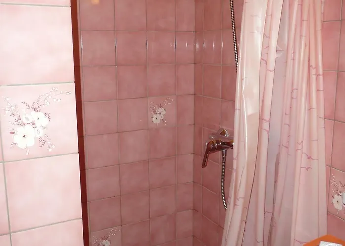 Restaurant Du Pont Vieux Ξενοδοχείο 3*